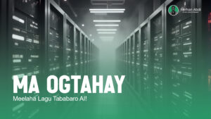 Meelaha Lagu Tababaro Caqliga Macmalka ah